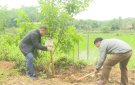 Xây dựng Vườn ươm cây xanh góp phần giữ vững tiêu chí nông thôn mới