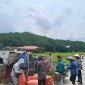 Nông dân xã Tân Phúc “Niềm vui mùa gặt”