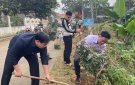 Tân Phúc xây dựng tuyến Đường hoa nông thôn mới
