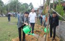 BÀI TUYÊN TRUYỀN TẾT TRỒNG CÂY NĂM 2024